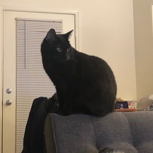 Meet your Posher, Tsai-wei